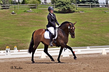 Tanja Schnuderl Expert witness, Barn Management and Horse Behavior